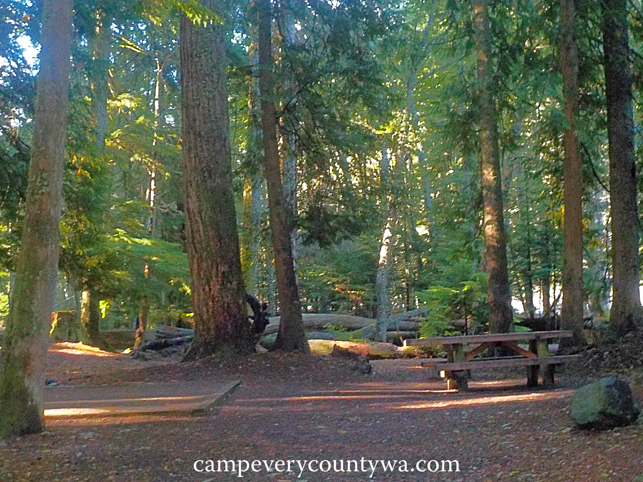 photos silver springs